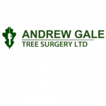 Tree Surgeon