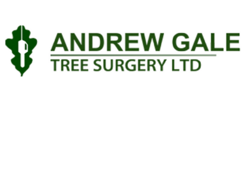 Tree Surgeon