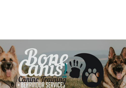Bone Canis